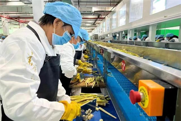 掘金深市成长蓝筹高地,深证100ETF富国正在发行中