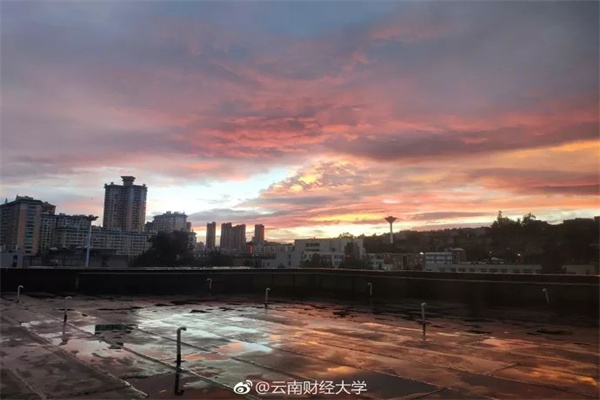 今夜鲍威尔再次登场!2月12日各投行美元、欧元、英镑、日元最新交易策略汇总