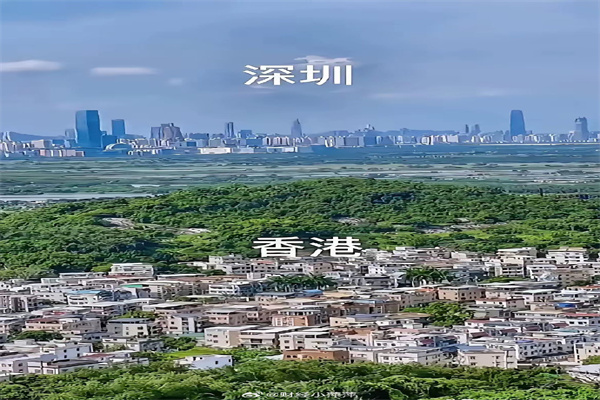 推动中国白酒高质量发展，全国人大代表、舍得酒业陈柏蓉建议聚焦“数智化、国际化、ESG”方向