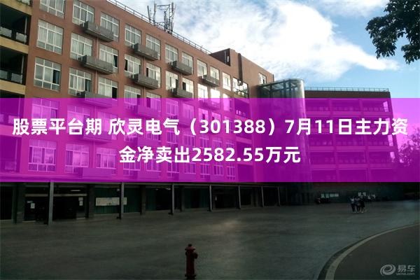 股票平台期 欣灵电气（301388）7月11日主力资金净卖出2582.55万元