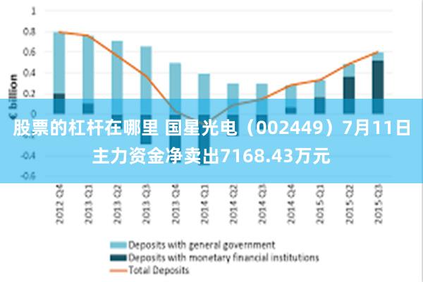 股票的杠杆在哪里 国星光电（002449）7月11日主力资金净卖出7168.43万元
