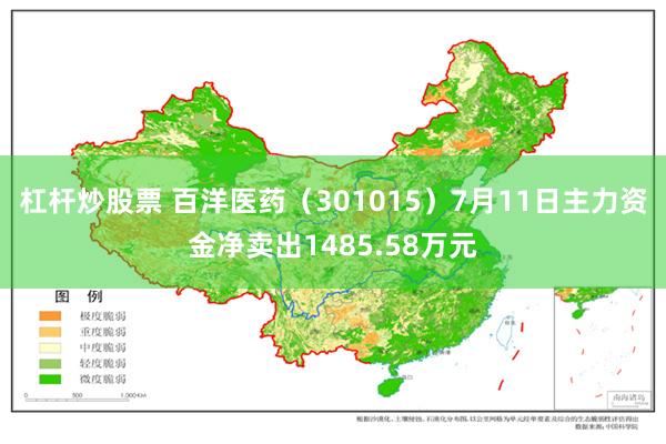 杠杆炒股票 百洋医药（301015）7月11日主力资金净卖出1485.58万元