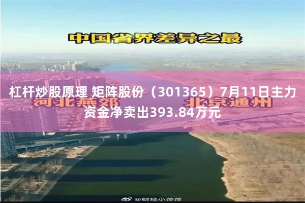 杠杆炒股原理 矩阵股份（301365）7月11日主力资金净卖出393.84万元