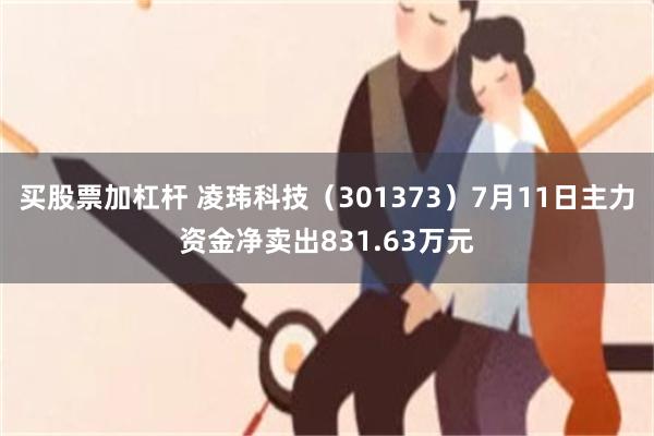 买股票加杠杆 凌玮科技（301373）7月11日主力资金净卖出831.63万元