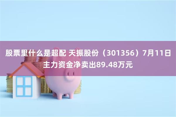 股票里什么是超配 天振股份（301356）7月11日主力资金净卖出89.48万元