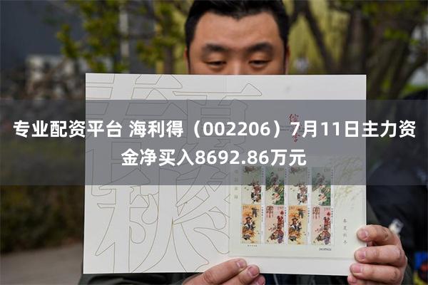 专业配资平台 海利得（002206）7月11日主力资金净买入8692.86万元