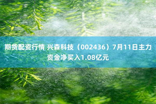 期货配资行情 兴森科技（002436）7月11日主力资金净买入1.08亿元