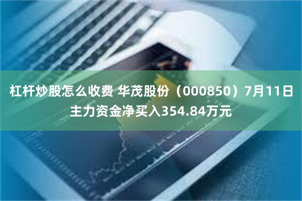杠杆炒股怎么收费 华茂股份（000850）7月11日主力资金净买入354.84万元