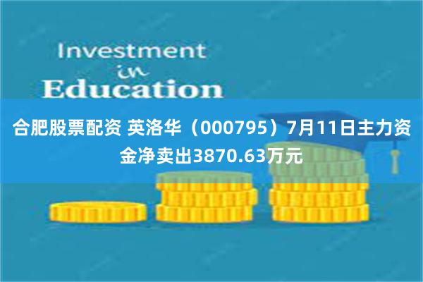 合肥股票配资 英洛华（000795）7月11日主力资金净卖出3870.63万元