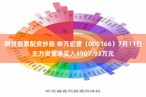 期货股票配资炒股 申万宏源（000166）7月11日主力资金净买入4907.93万元