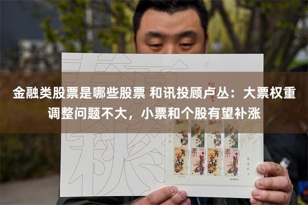 金融类股票是哪些股票 和讯投顾卢丛：大票权重调整问题不大，小票和个股有望补涨