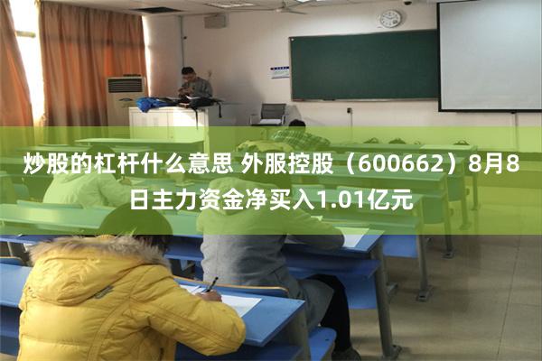 炒股的杠杆什么意思 外服控股（600662）8月8日主力资金净买入1.01亿元