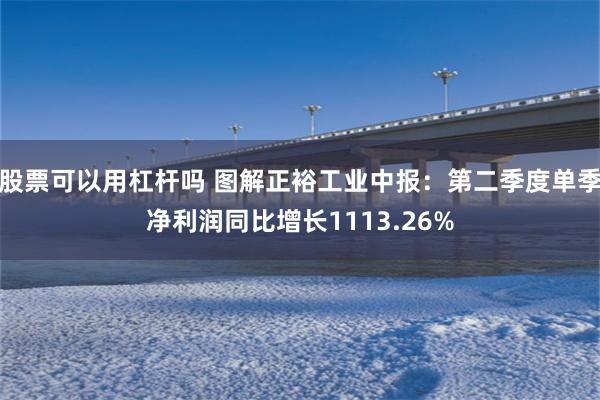 股票可以用杠杆吗 图解正裕工业中报：第二季度单季净利润同比增长1113.26%