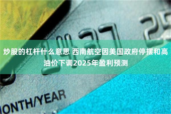 炒股的杠杆什么意思 西南航空因美国政府停摆和高油价下调2025年盈利预测