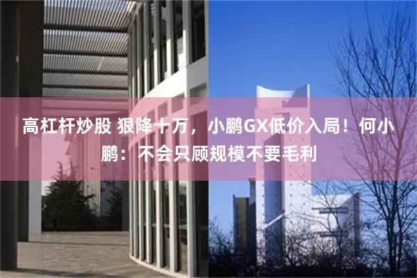 高杠杆炒股 狠降十万，小鹏GX低价入局！何小鹏：不会只顾规模不要毛利