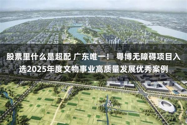 股票里什么是超配 广东唯一！ 粤博无障碍项目入选2025年度文物事业高质量发展优秀案例