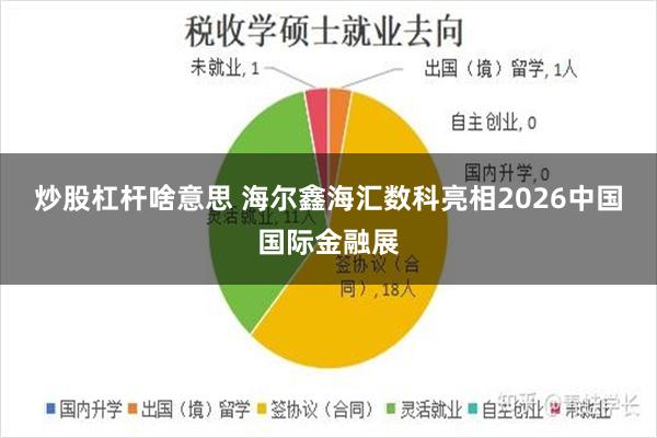炒股杠杆啥意思 海尔鑫海汇数科亮相2026中国国际金融展