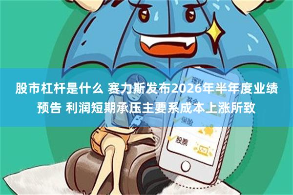 股市杠杆是什么 赛力斯发布2026年半年度业绩预告 利润短期承压主要系成本上涨所致