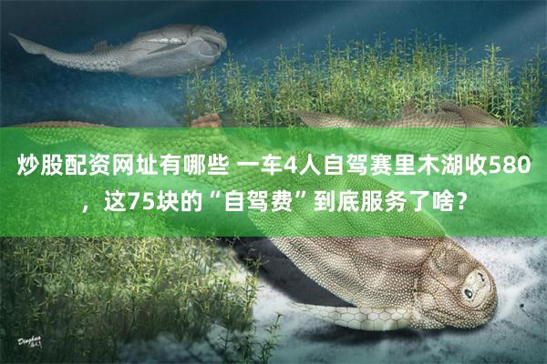 炒股配资网址有哪些 一车4人自驾赛里木湖收580，这75块的“自驾费”到底服务了啥？