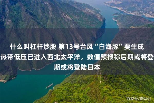 什么叫杠杆炒股 第13号台风“白海豚”要生成了？该热带低压已进入西北太平洋，数值预报称后期或将登陆日本