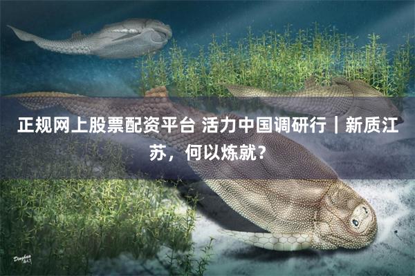 正规网上股票配资平台 活力中国调研行｜新质江苏，何以炼就？