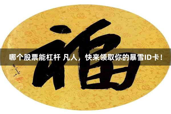 哪个股票能杠杆 凡人，快来领取你的暴雪ID卡！