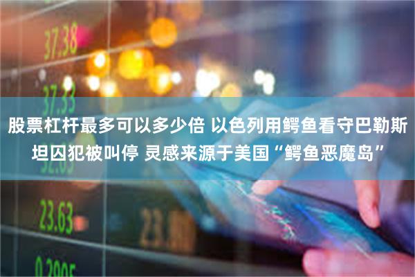 股票杠杆最多可以多少倍 以色列用鳄鱼看守巴勒斯坦囚犯被叫停 灵感来源于美国“鳄鱼恶魔岛”