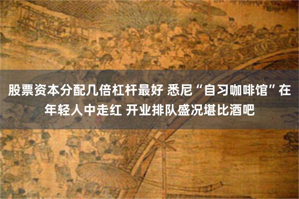 股票资本分配几倍杠杆最好 悉尼“自习咖啡馆”在年轻人中走红 开业排队盛况堪比酒吧