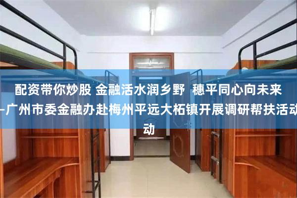 配资带你炒股 金融活水润乡野  穗平同心向未来—广州市委金融办赴梅州平远大柘镇开展调研帮扶活动