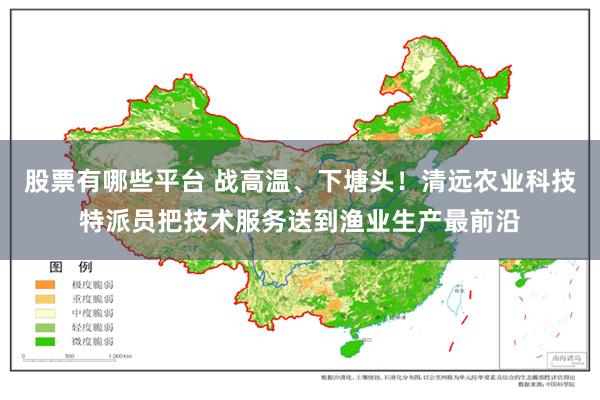 股票有哪些平台 战高温、下塘头！清远农业科技特派员把技术服务送到渔业生产最前沿