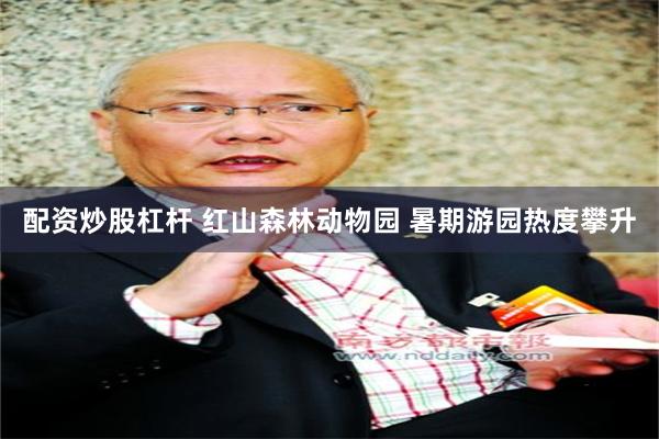 配资炒股杠杆 红山森林动物园 暑期游园热度攀升