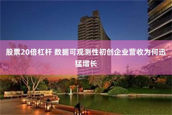 股票20倍杠杆 数据可观测性初创企业营收为何迅猛增长