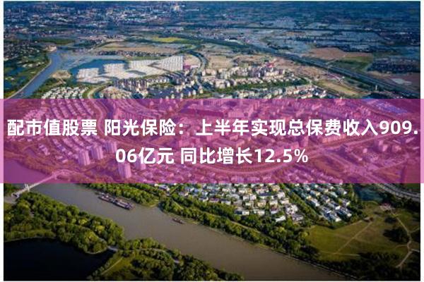 配市值股票 阳光保险：上半年实现总保费收入909.06亿元 同比增长12.5%