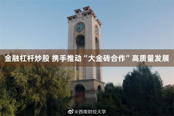 金融杠杆炒股 携手推动“大金砖合作”高质量发展